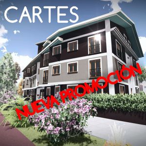 Cartes